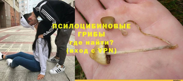 спайс Абаза