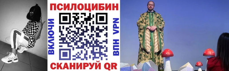 купить закладку  Агрыз  МЕГА маркетплейс  Галлюциногенные грибы прущие грибы 